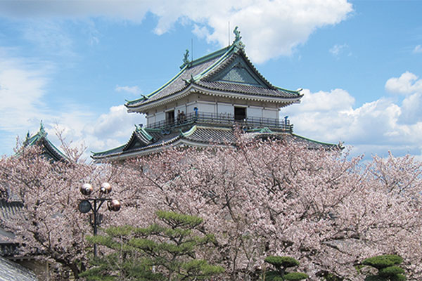 1484いちご狩り食べ放題と桜に染まる白亜の和歌山城天守閣