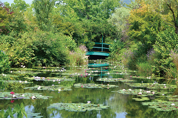 2259 青いスイレンのベストシーズンにご案内！北川村「モネの庭」マルモッタン と高知県立牧野植物園