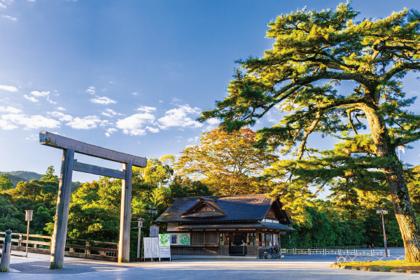 4831 伊勢神宮内宮参り　赤福1箱8個入り　お持ち帰り付き！