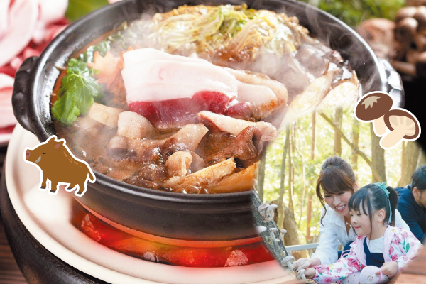 4833 無農薬自然栽培のしい茸狩りと地元産猪肉のぼたん鍋をご堪能　狩りたてしい茸お持ち帰り付き