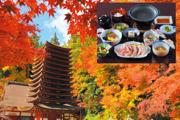 4845 紅葉の談山神社と長谷寺の床もみじ