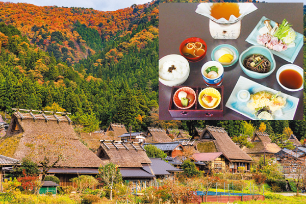 4846 日本のふるさと美山かやぶきの里と料理旅館 枕川楼でいただく京美白どり鍋