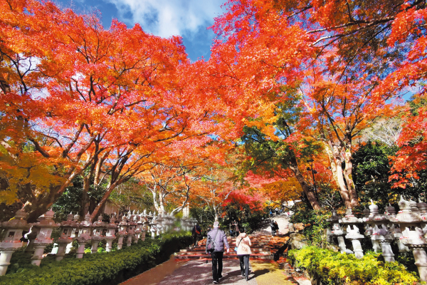 4851 大阪紅葉めぐりとランチバイキング