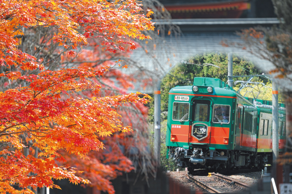 4859 こうや花鉄道「天空」 と 奥の院めぐり