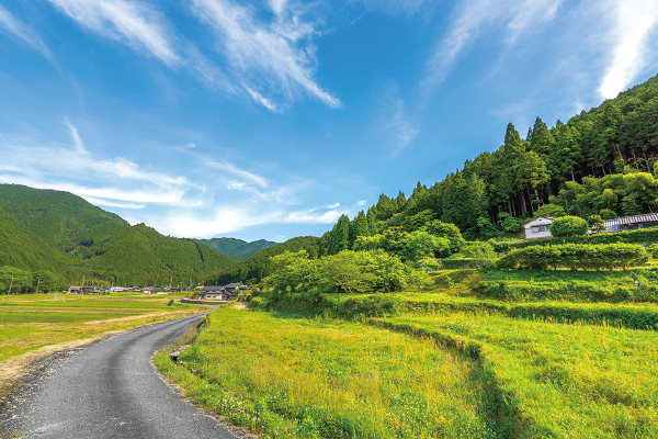 9884ふるさと100山・2月　三国岳