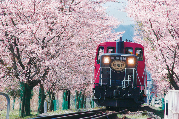 1826春の嵯峨野トロッコ列車と嵐山散策嵐山食べ歩き券付き！