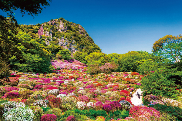 1882約20万本のつつじが織りなす花の絨毯御船山楽園花まつりと13年連続日本一の絶景イルミネーションハウステンボス