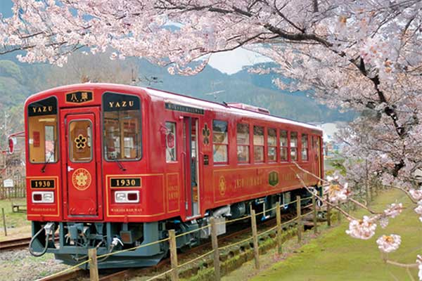 1800昭和レトロな若桜鉄道と甘みたっぷり森の完熟いちご食べ放題