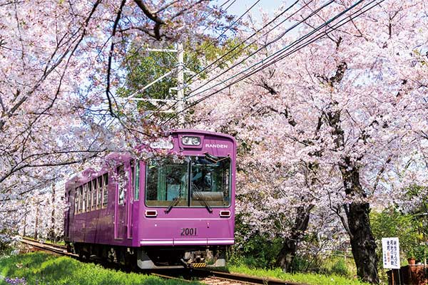 1802嵐山電鉄桜のトンネル通り抜けとランチバイキング&いちごスイーツフェア