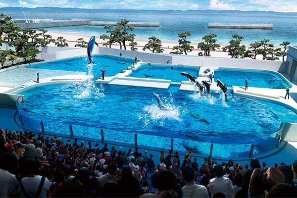 1805神戸須磨シーワールドとランチブッフェ　小学生以下のお子様限定！ハズレなしのオルカくじ付き！