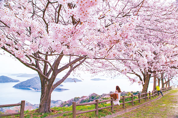 9887紫雲出山ハイキングツアー