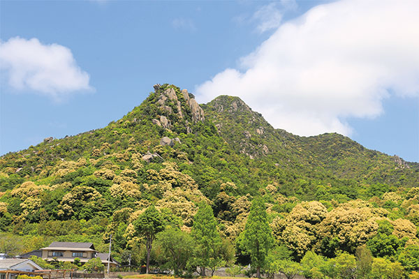 9889【4月・5月】阪九フェリーで行く!花崗岩の巨岩が露出した勇壮な山容「右田ヶ岳」(みぎたがたけ)と関門海峡をつなぐ全長780mの海底トンネル「関門トンネル」