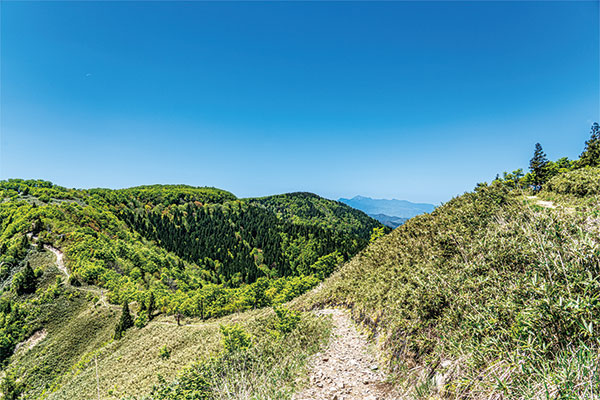 9890 高清水トレイル