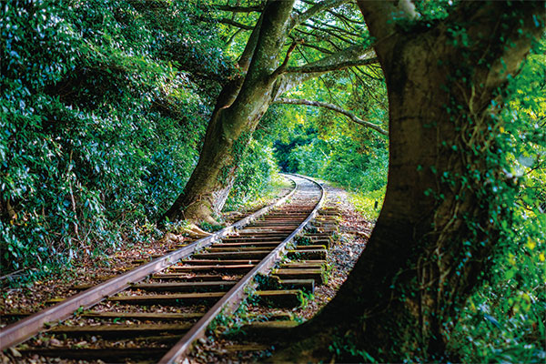 9892旧国鉄倉吉線廃線跡トレッキング