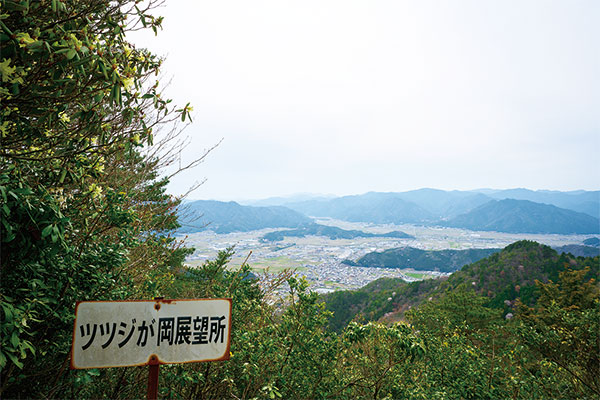 9896ふるさと100山　向山