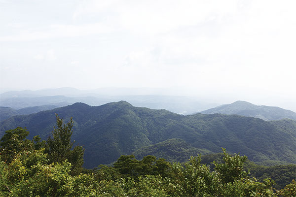 9897ふるさと100山・番外編　船通山（せんつうざん）