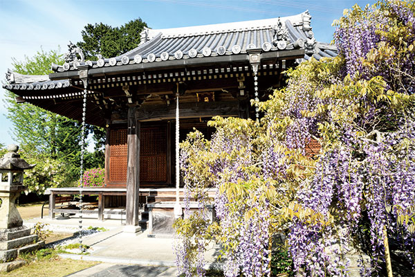 【4月】第3回　関西花の寺二十五ヶ所霊場めぐり