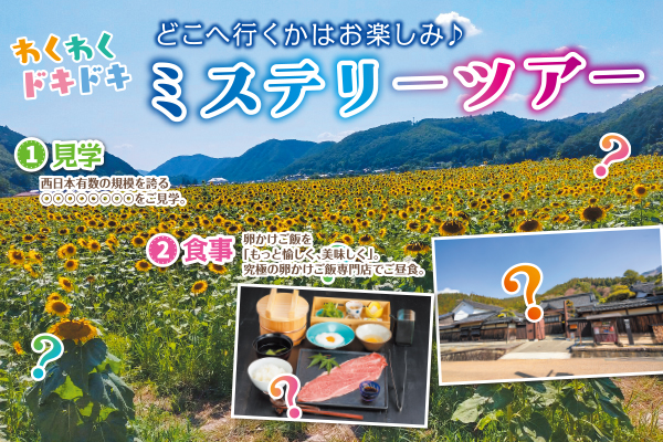 2811わくわくドキドキミステリーツアー