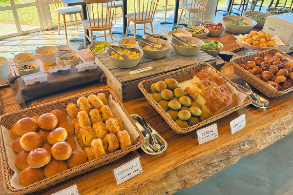 2838生麺パスタに加えパン・サラダが食べ放題！と淡路島フルーツ農園で巨峰食べ放題！