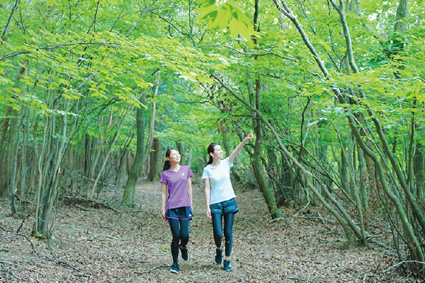 2840メナード青山リゾートネイチャーウォーキング