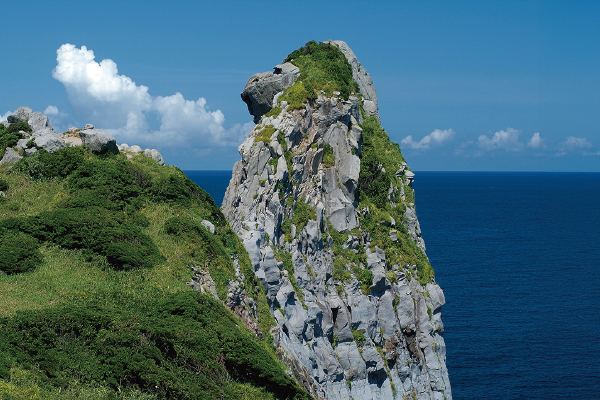2862絶景の離島旅国境の島「対馬」と神々が宿る島「壱岐」