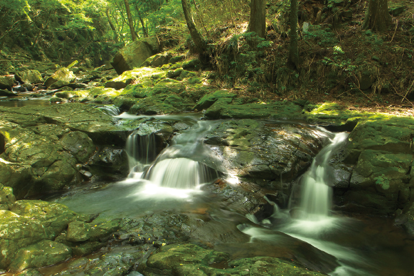 9902美しい滝の渓谷　赤目四十八滝と長坂山