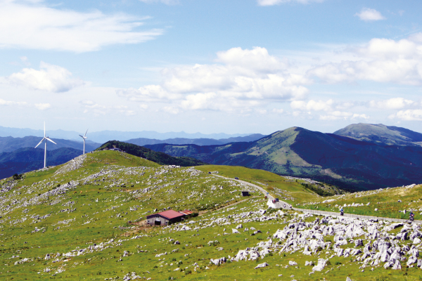 9907高知県立牧野植物園と四国カルスト