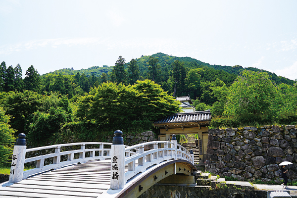 9910ふるさと100山　有子山