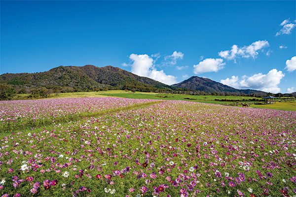 9914蒜山ウォークフェスティバル