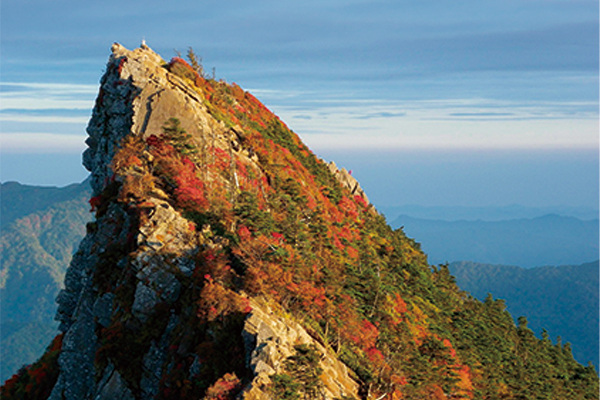 4721西日本最高峰!紅葉の石鎚登山ロープウェイ空中散歩と日本三大潮流のひとつしまなみ来島海峡遊覧船