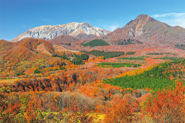 4735名峰大山の紅葉観賞とサントリー天然水 奥大山ブナの森工場見学