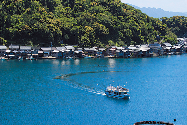 4737伊根湾めぐり遊覧船と日本三景天橋立の絶景