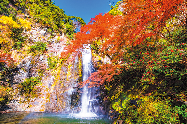 4755大阪北摂紅葉めぐり