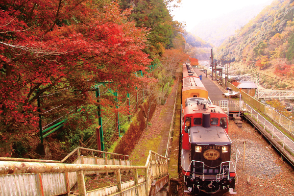 4768屋形船と嵯峨野トロッコ列車で巡る嵐山の紅葉
