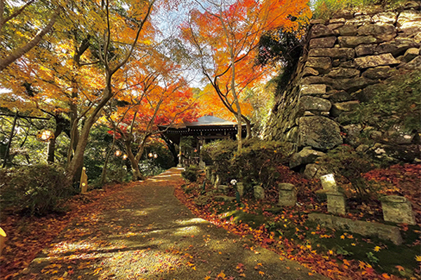 9929八幡山(はちまんやま)と近江八幡まちあるき