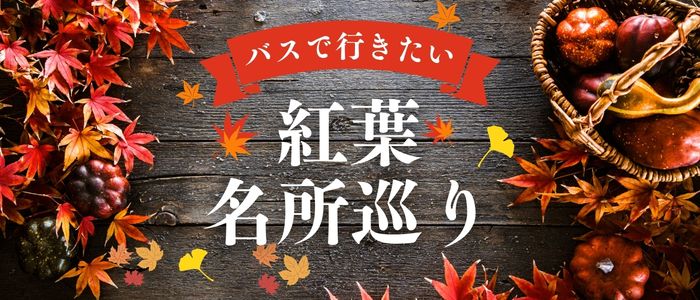 紅葉特集