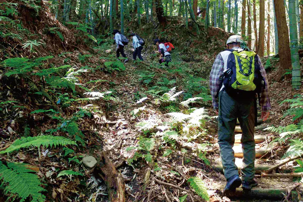 9870 奈良盆地を一望 龍王山