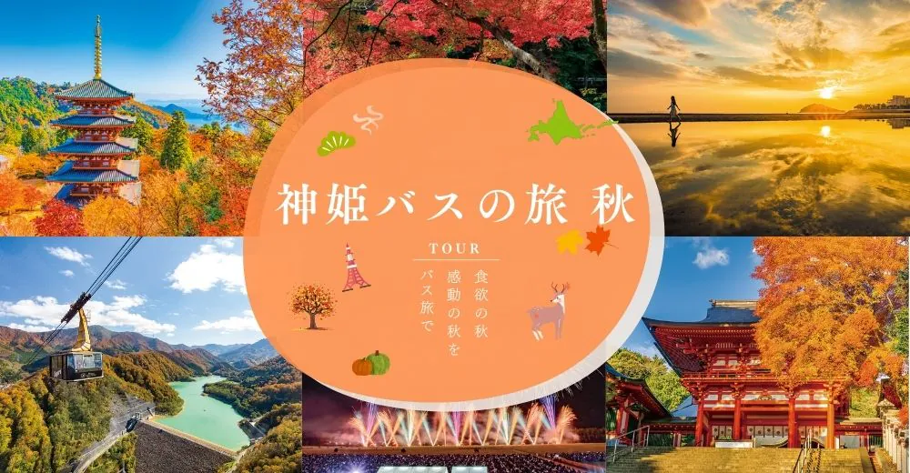 バス旅