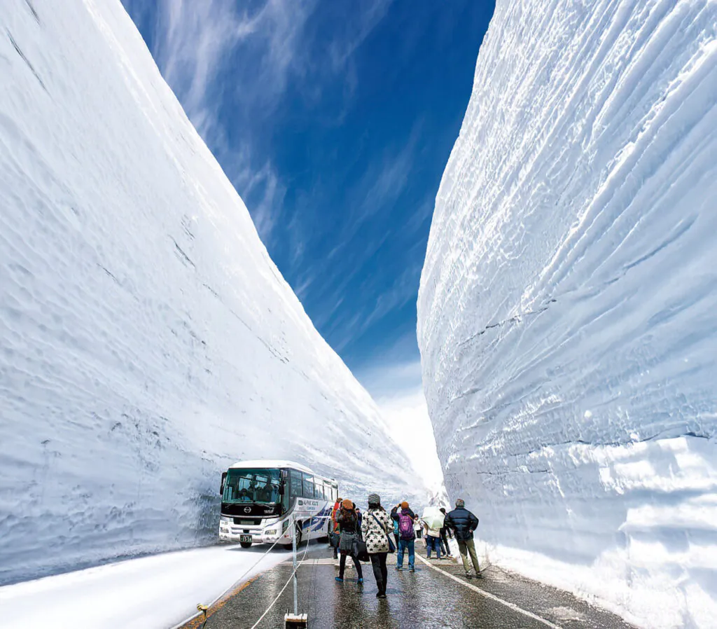 5974 立山黒部アルペンルート通り抜けと雪の大谷ウォーク
