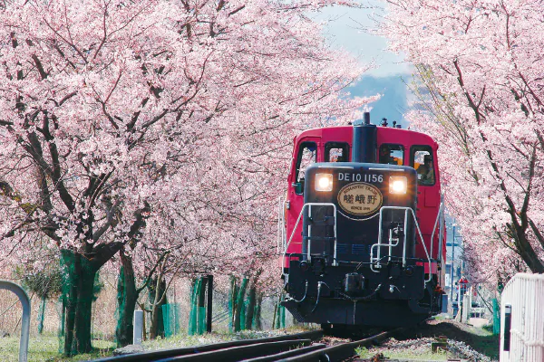 1826春の嵯峨野トロッコ列車と嵐山散策嵐山食べ歩き券付き！