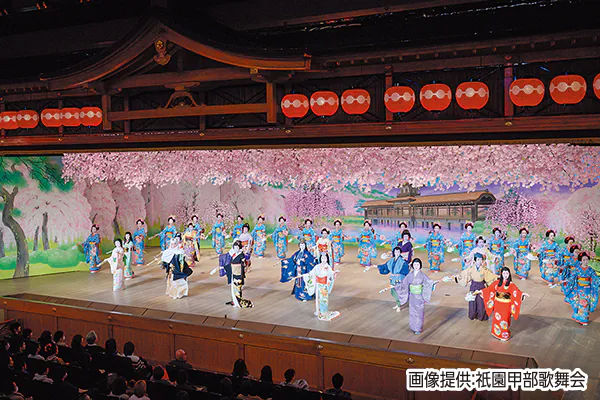 1856春の風物詩 第152回都をどり