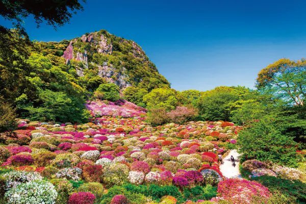 1882御船山楽園花まつりと13年連続日本一の絶景イルミネーションハウステンボス