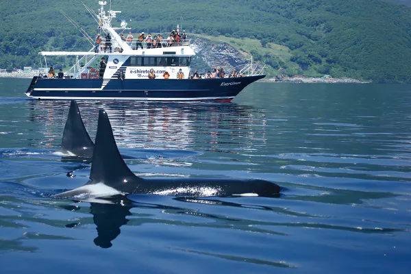 1883世界自然遺産知床・網走・阿寒湖を巡る