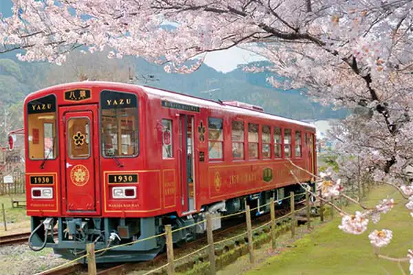 1800昭和レトロな若桜鉄道と甘みたっぷり森の完熟いちご食べ放題