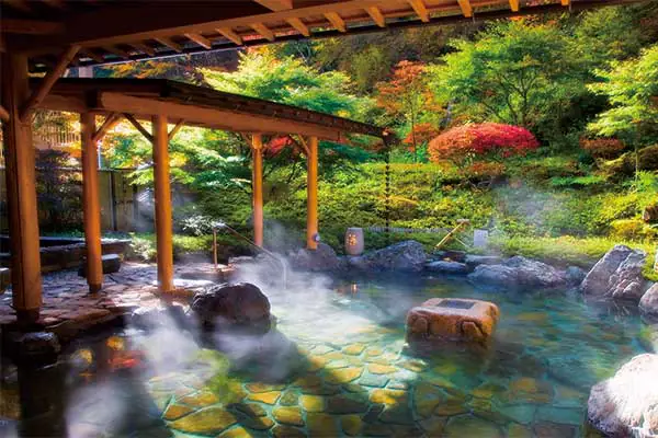 1823山野草の宿二人静と花の南信州