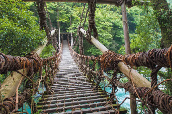 2808絶景！祖谷のかずら橋とエメラルドグリーンの大歩危峡遊覧船
