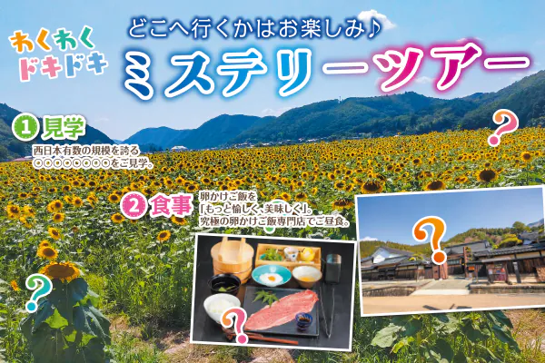 2811わくわくドキドキミステリーツアー