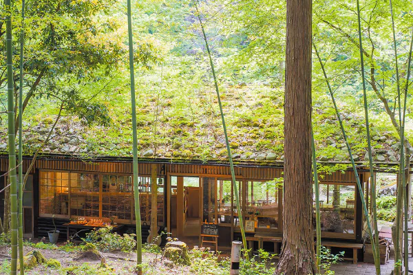 2819みたき園山菜料理と森の学校ではちみつ採集体験