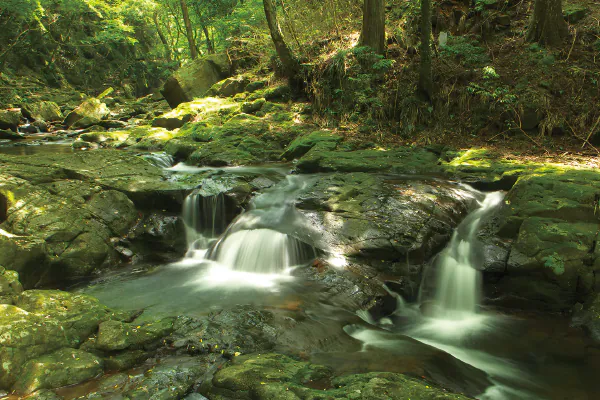 9902美しい滝の渓谷　赤目四十八滝と長坂山