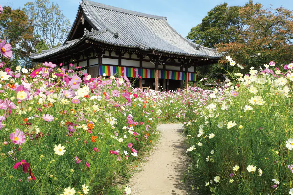 【11月】第7回　関西花の寺二十五ヶ所霊場めぐり
